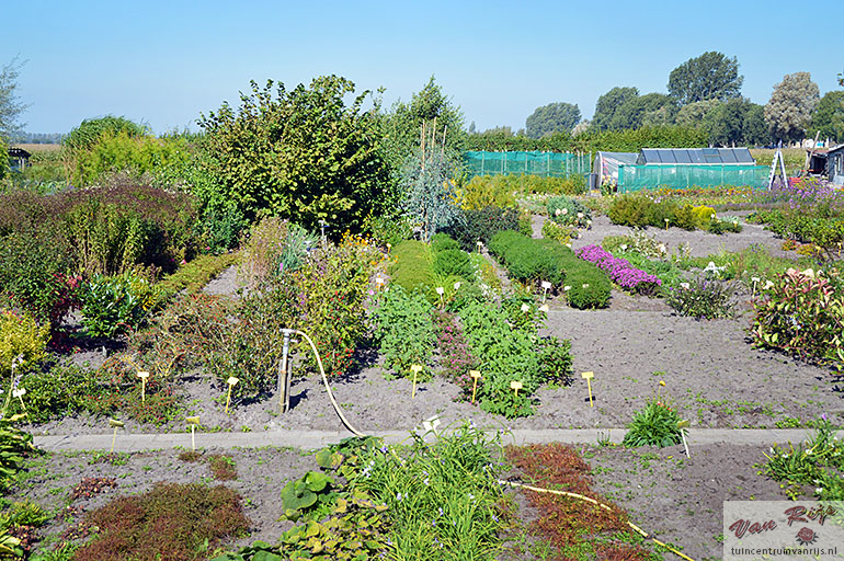 tuincentrum van rijs zomer 2018